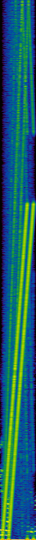 wc-tone-spectrogram.png